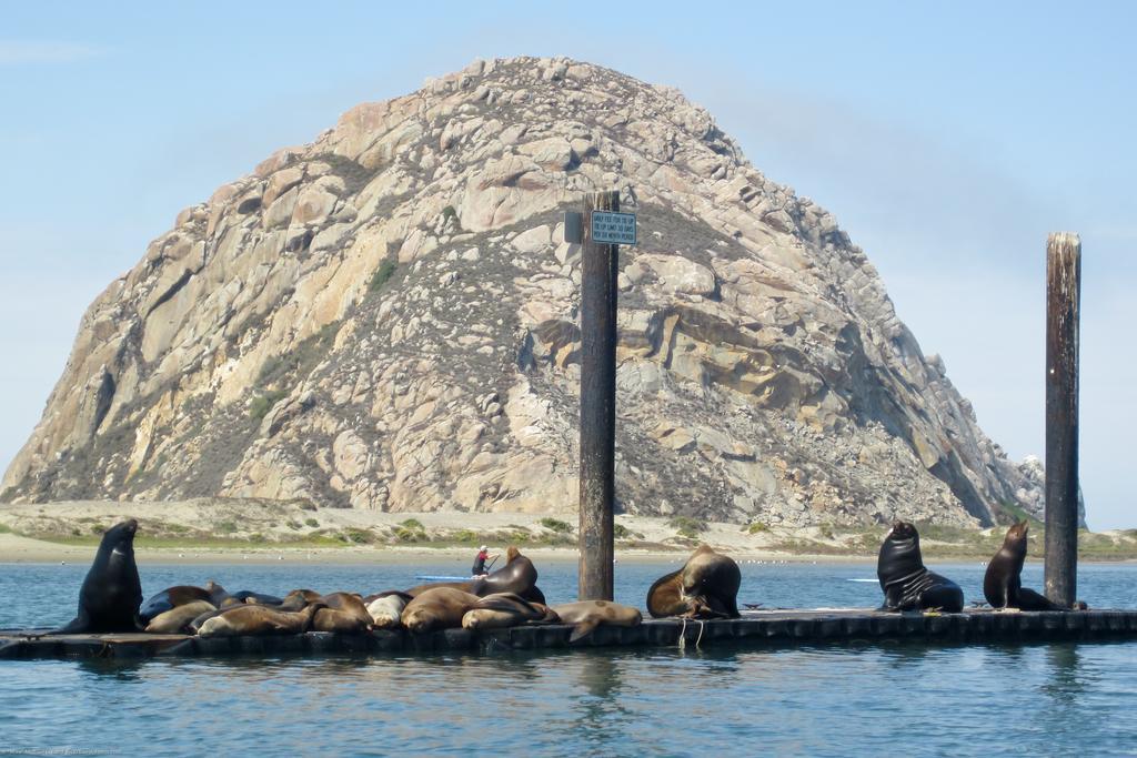 Morro Crest Inn Morro Bay Exteriör bild